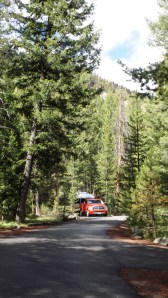 Our New Back-in Site