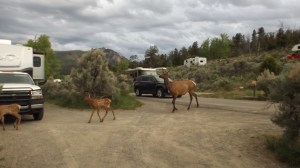 elkinmammothsprings 002