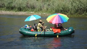 Second - Lining on the Salmon!