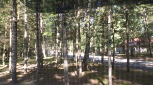 View From Cell Window