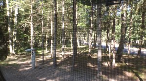 Note the Life-Saving Screen