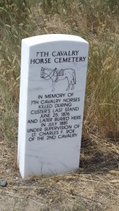 Horse Cemetery