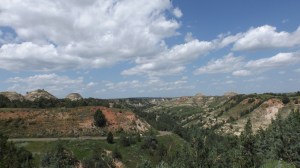 Another T R N P Landscape