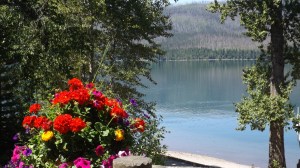 Lodge Flowers and Lake 