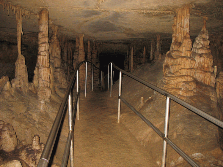 Handrails Are Welcomed