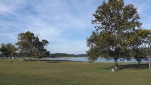 Site of the Company Picnic