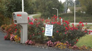 They Absolutely Detest Excreta Here