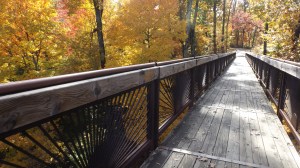 Pier Over the Hillside