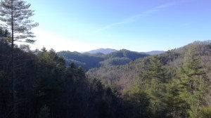 Standing Human's View