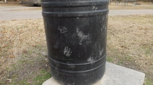 Same 'Coon, Our Garbage (with BBQ Rib Bones)