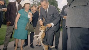 LBJ's Beagle 'Him' (Him's Sister Was 'Her')