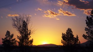 Getting Late but She Is Still Looking for That Lost Ball