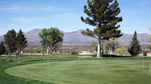 Kat Eyes the Practice Green