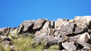 Maybe Generations of Petroglyphs?