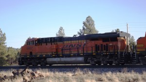 Fifty Pass Every Day (and Some At Night)