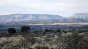Looking East from Camp