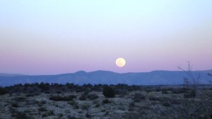 Later Full Moon Over Cottonwood