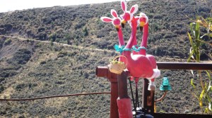 Easter Flamingoes in Jerome