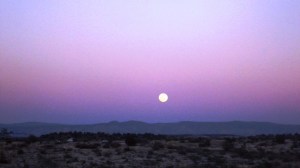 Later Full Moon Over Cottonwood