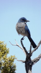 Our Nearest Neighbor