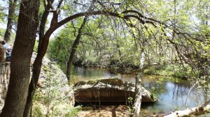 Beaver Creek (Where the Water Goes)