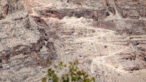 The Angles of Bright Angels Trail