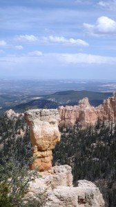 The Hunter (See the Elmer Fudd Earflaps?)