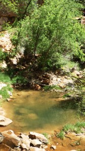 Emerald Pool:  They Named It for Its Pond Scum