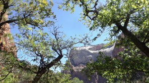 Sky Scene from the Emerald Pool Trail