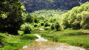 Looking West from Ivie Camp Site