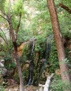 Menu Falls with 4,000 Year Old Water