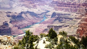 Colorado River from the Watchtower