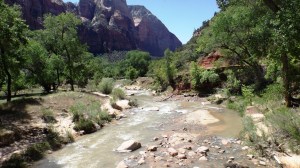 Virgin River, Maker of Zion, from the Emerald Trail Bridge