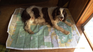 Pink Doesn't Want Us to Plan a Path to Capitol Reef:  She Likes It HERE.