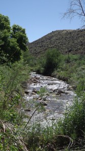 The Lovely Fremont River