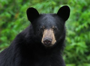 This Was the Look on His Face