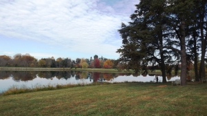 The Lake at Bernheim Forest