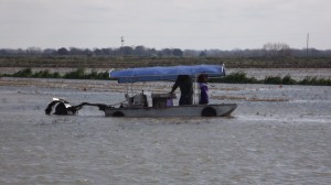 High Budget Harvesting