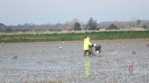 30 Degrees:  Emptying the Traps the Hard Way