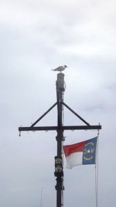 It's the Only Way to Fly