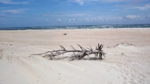 Ocracoke Island Beach, Atlantic Side