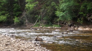 Another View of Shavers Fork