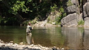 Catch n Release on the Potomac