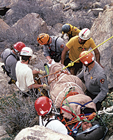 This Is What He Wanted