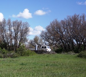 Mennonite Wood Stacker