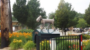 A Bad Dog in a Pretty Town